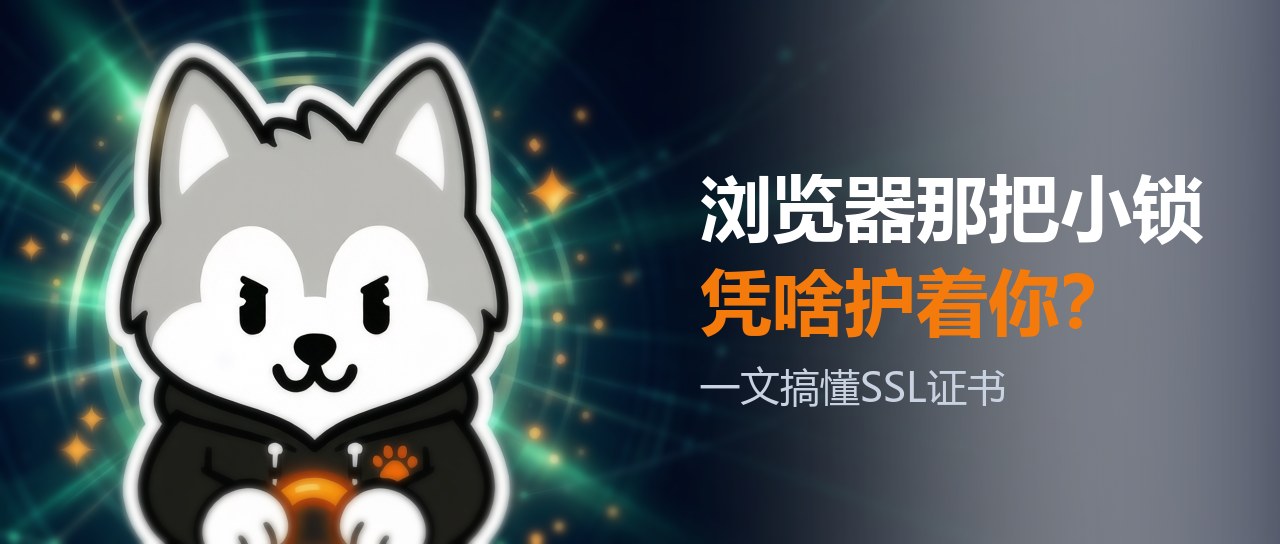【科普】浏览器那把小锁，到底凭什么保护你？一文搞懂SSL证书